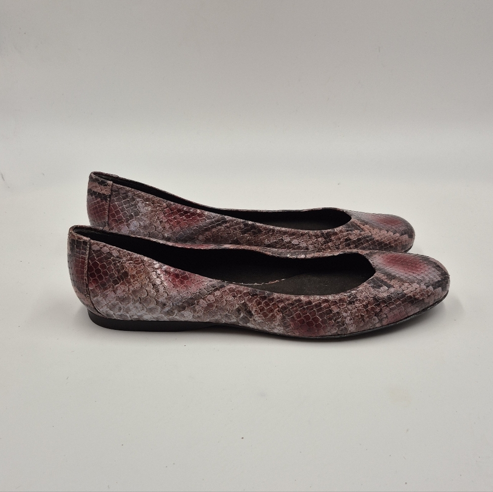 Stuart Weitzman-Snake Flat - Picture 7 of 11